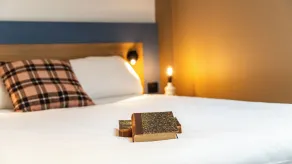 greet Hotel Massieux Lyon Nord by All Accor - Værelse