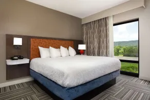 Hampton Inn Kingsport - Chambre