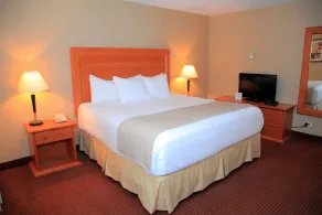 Days Inn by Wyndham Edmonton Downtown - Chambre