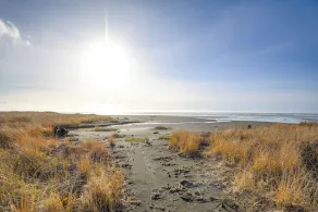 4br/4ba Beachfront Retreat With Hot Tub and Sauna - Innvendig