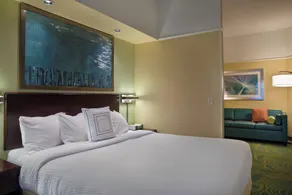 SpringHill Suites St Petersburg Clearwater - Chambre