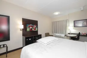 Red Roof Inn PLUS+ Jacksonville – Southpoint - Chambre