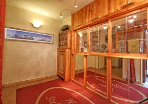 Hotel Stella Alpina - Recepción
