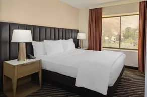 Embassy Suites by Hilton Phoenix Scottsdale - Chambre