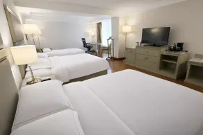 Barcelo Guadalajara - Utsikt fra rommet