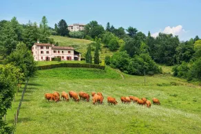 Foresteria Borgoluce - View from room