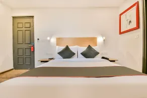 Hotel Broadway Udaipur - View from room