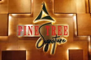 Pine Tree Signature - Réception