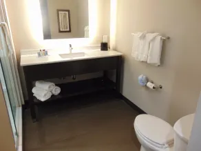 Wingate by Wyndham Lubbock - Salle de bain