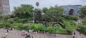 Flying Dog Hostel - View from room