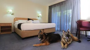 Bushman's Motor Inn - Habitación