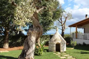 La Casetta Bed and Breakfast - Pool