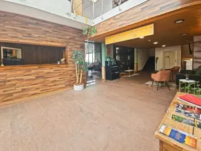 Hotel Aeschi Park  - Reception
