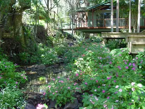 Treetops Montville - Rom