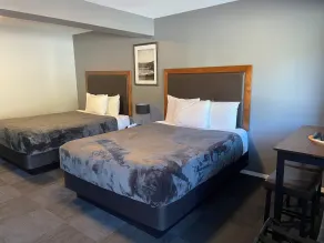 Monashee Lodge - Chambre