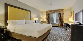 Holiday Inn Express & Suites Gonzales by IHG - Chambre