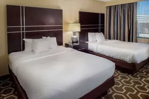 Embassy Suites by Hilton St. Louis Airport - Chambre