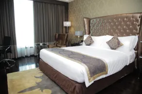 Radisson Blu Hotel New Delhi Paschim Vihar - Room