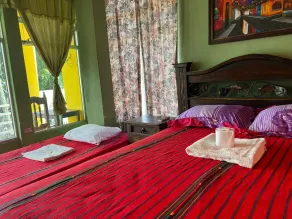 Hotel Pinocchio - Room