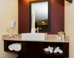 Red Roof Inn PLUS+ Columbus - Dublin - Badeværelse