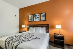 Sleep Inn & Suites Stafford - Sugarland - Chambre