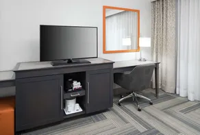 Hampton Inn & Suites by Hilton Atlanta Perimeter Dunwoody - Chambre