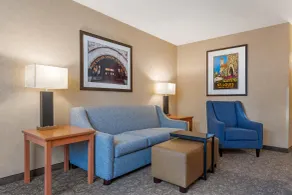 Drury Plaza Hotel St Louis Union Station - Rum