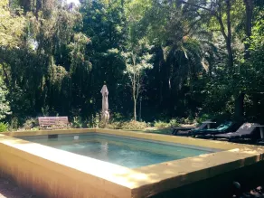 High Hopes - Piscine