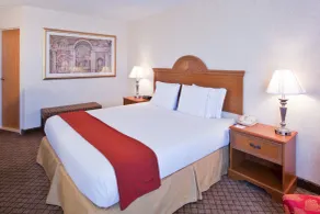 Holiday Inn Express Flint-Campus Area by IHG - Chambre