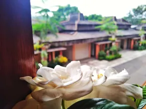The Cipaku Garden Hotel - View from room