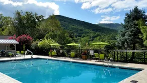 Holiday Inn Asheville East-Blue Ridge Pkwy by IHG - Pool