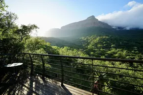 umVangati House - Zimmer