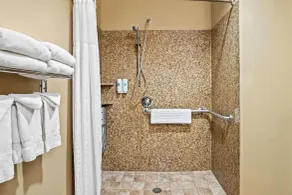 Comfort Suites Frisco - Chambre
