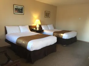 Siesta Motel - Room