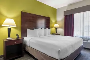 Best Western Plus Mansfield Inn & Suites - Chambre
