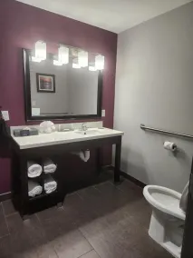 La Quinta by Wyndham Dallas Grand Prairie North - Salle de bain