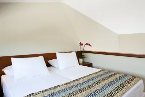 Apollonion Asterias Resort and Spa - Chambre