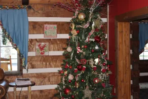 Great Smokies Inn - Cherokee - Réception
