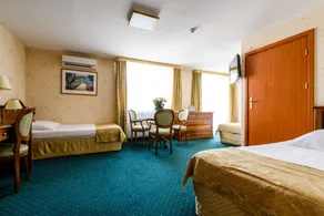 Hotel Boss - Room