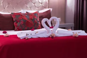Hotel de Ilhavo Plaza & Spa - Chambre