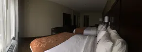 Comfort Suites Auburn near I-69 - Chambre