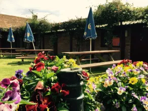 New Inn - Garten