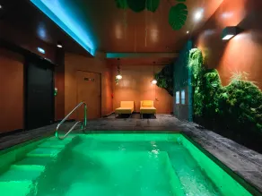 Alex Hôtel Belsunce - Piscine