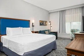 Hampton Inn Chicago North-Loyola Station - Chambre