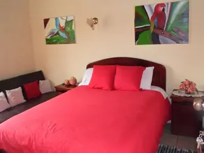 La Casa Amarilla - Room