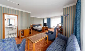 Dorint Herrenkrug Parkhotel Magdeburg - Chambre