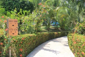 Hotel Villa Mercedes Palenque - Vue de la chambre