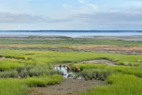 Alluring Anchorage Apt - Walk to Coastal Trl! - Innvendig