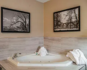 Comfort Inn - Salle de bain