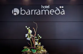 Hotel Barrameda - Réception